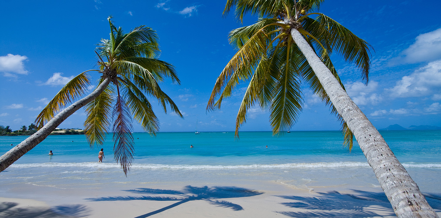  Bávaro Beach - Punta Cana - Dominikanische Republik 